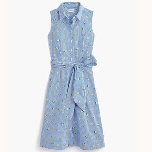 J. Crew Factory Blue Stripe Lemon-Print Sleeveless Summer Shirtdress
